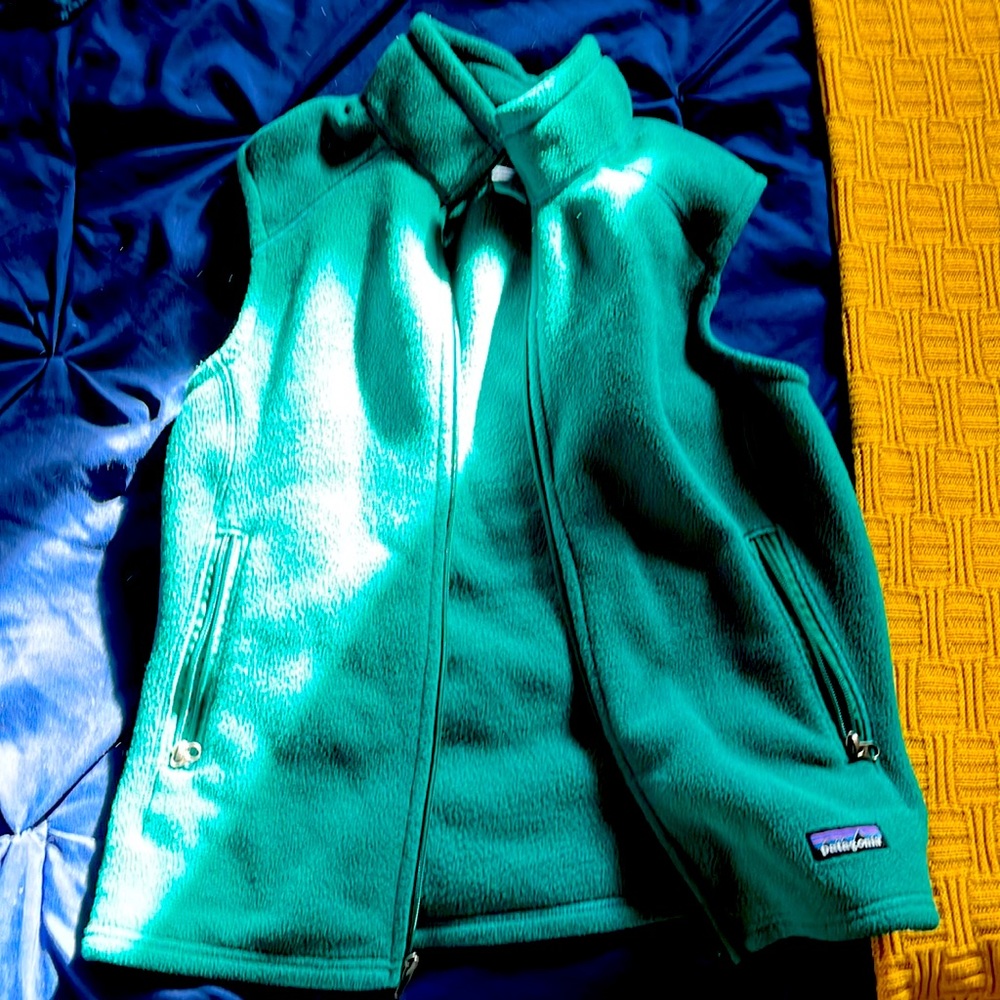 Patagonia Synchilla Fleece Vest